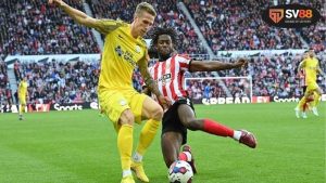 Thông tin lực lượng Crystal Palace vs Sunderland mới nhất